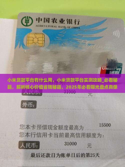小米贷款平台有什么用