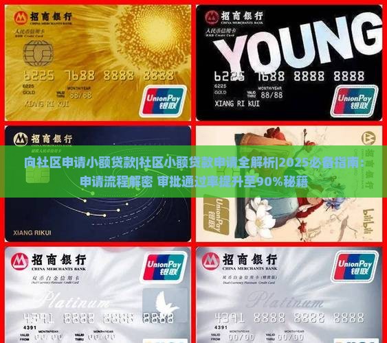 向社区申请小额贷款