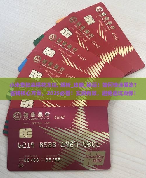 小米贷款幸福花冻结