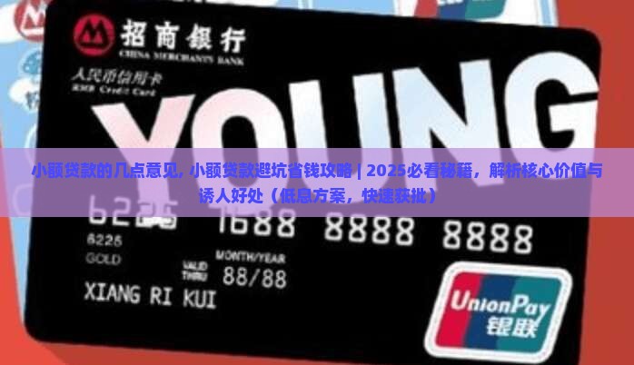 小额贷款的几点意见