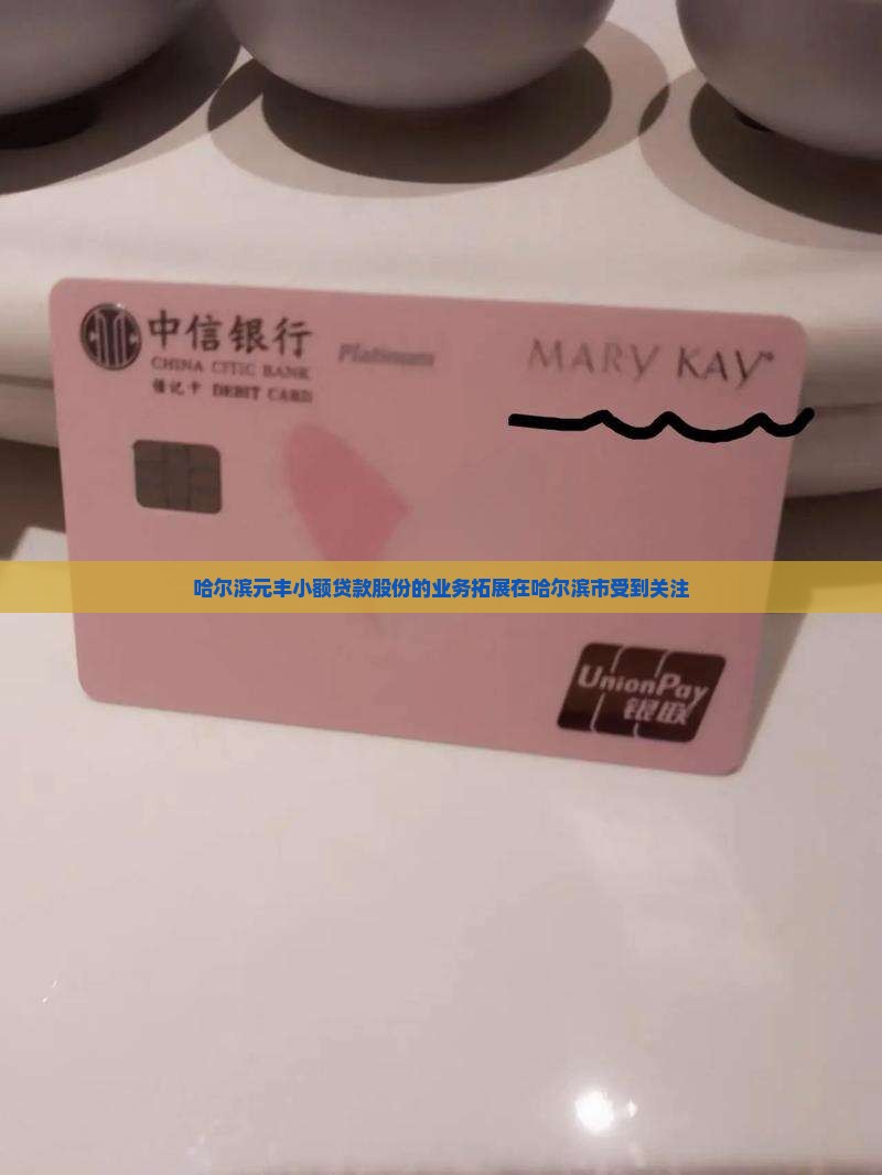 哈尔滨元丰小额贷款股份的业务拓展在哈尔滨市受到关注