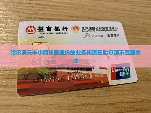 哈尔滨元丰小额贷款股份的业务拓展在哈尔滨市受到关注
