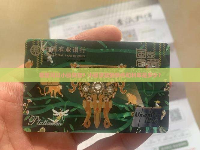 哪里可以小额贷款？小额贷款的条件和利率是多少？