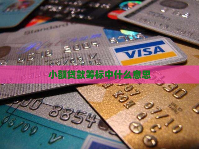 小额贷款筹标中什么意思