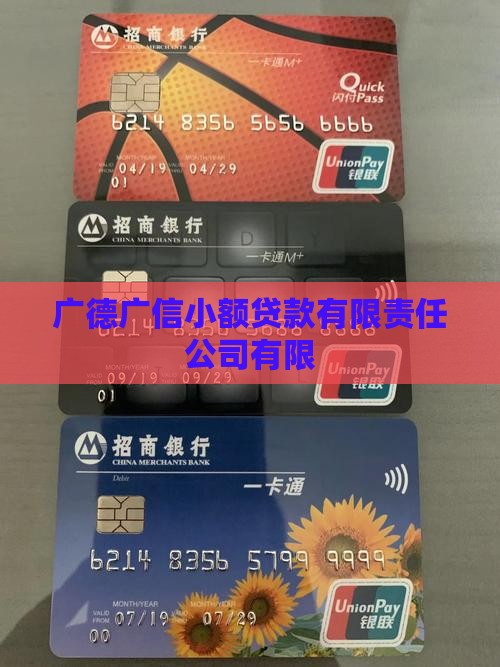 广德广信小额贷款有限责任公司有限