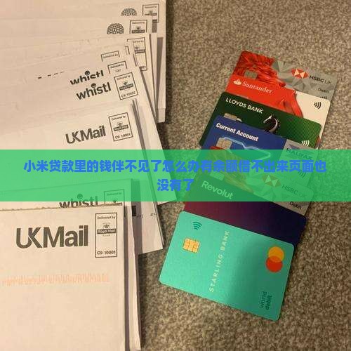 小米贷款里的钱伴不见了怎么办有余额借不出来页面也没有了