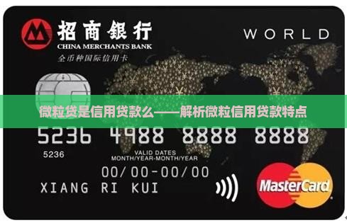 微粒贷是信用贷款么——解析微粒信用贷款特点