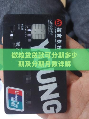 微粒贷贷款可分期多少期及分期月数详解