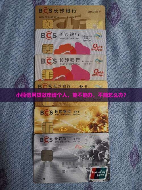 小额信用贷款能不能办