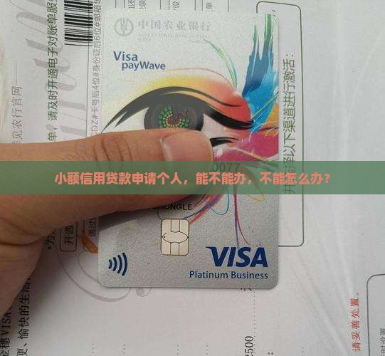 小额信用贷款能不能办