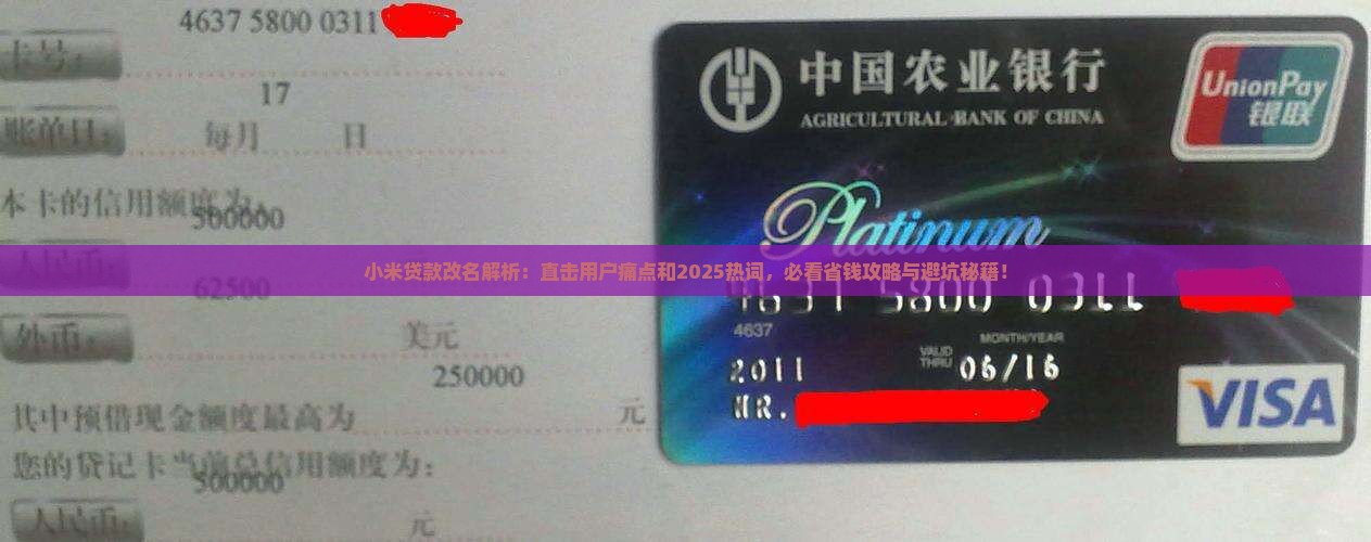 小米贷款改名什么意思