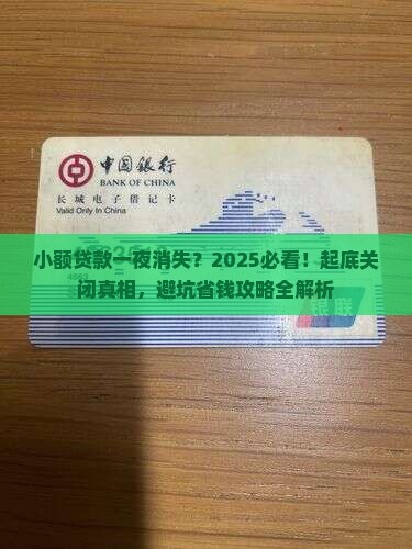 小额贷款怎么都关闭了