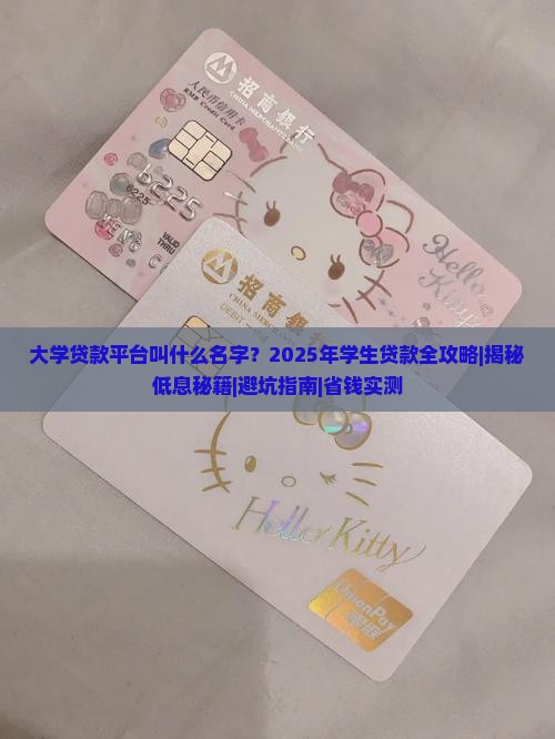 大学贷款平台叫什么名字