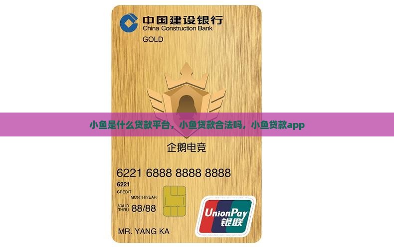 小鱼是什么贷款平台