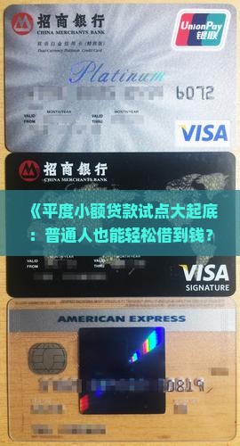 平度小额贷款试点