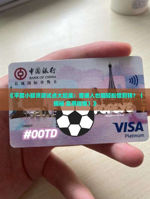 平度小额贷款试点