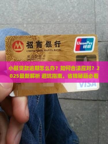 小额贷款逾期怎样合法