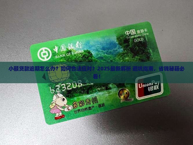 小额贷款逾期怎样合法