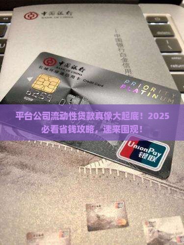 平台公司流动性贷款是什么