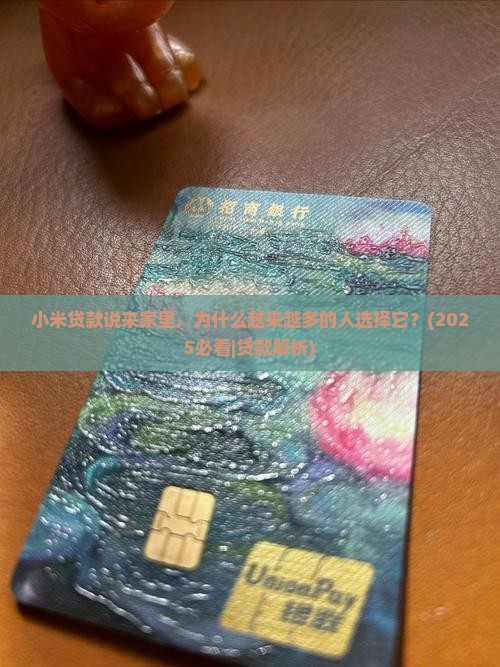 小米贷款说来家里