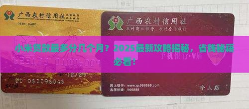 小米贷款最多分几个月