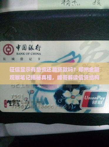 征信显示有垫资能贷款吗