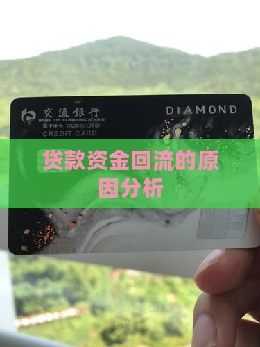 小额贷款回流的原因分析