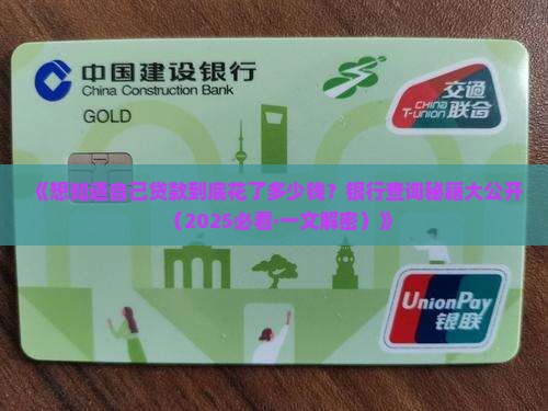 怎么去银行查贷款明细