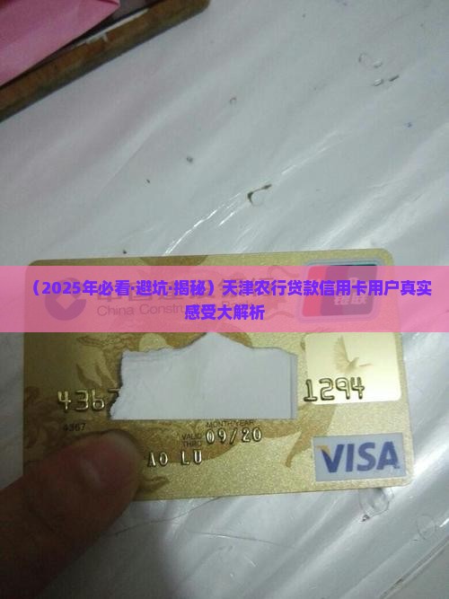 天津农行贷款信用卡