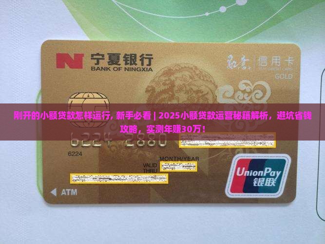 刚开的小额贷款怎样运行