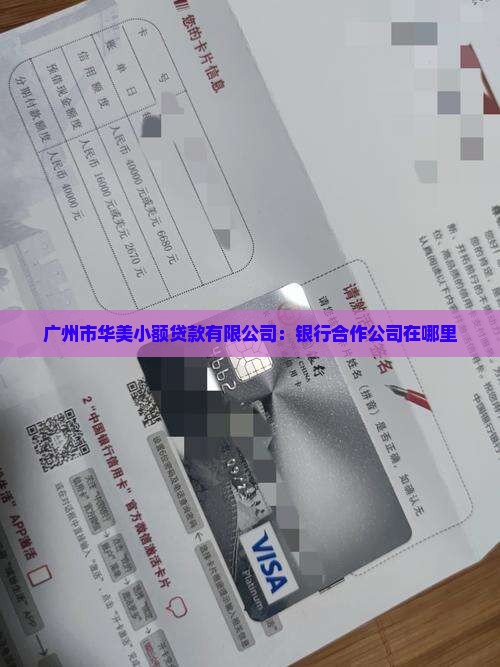 华美贷款合作公司在哪