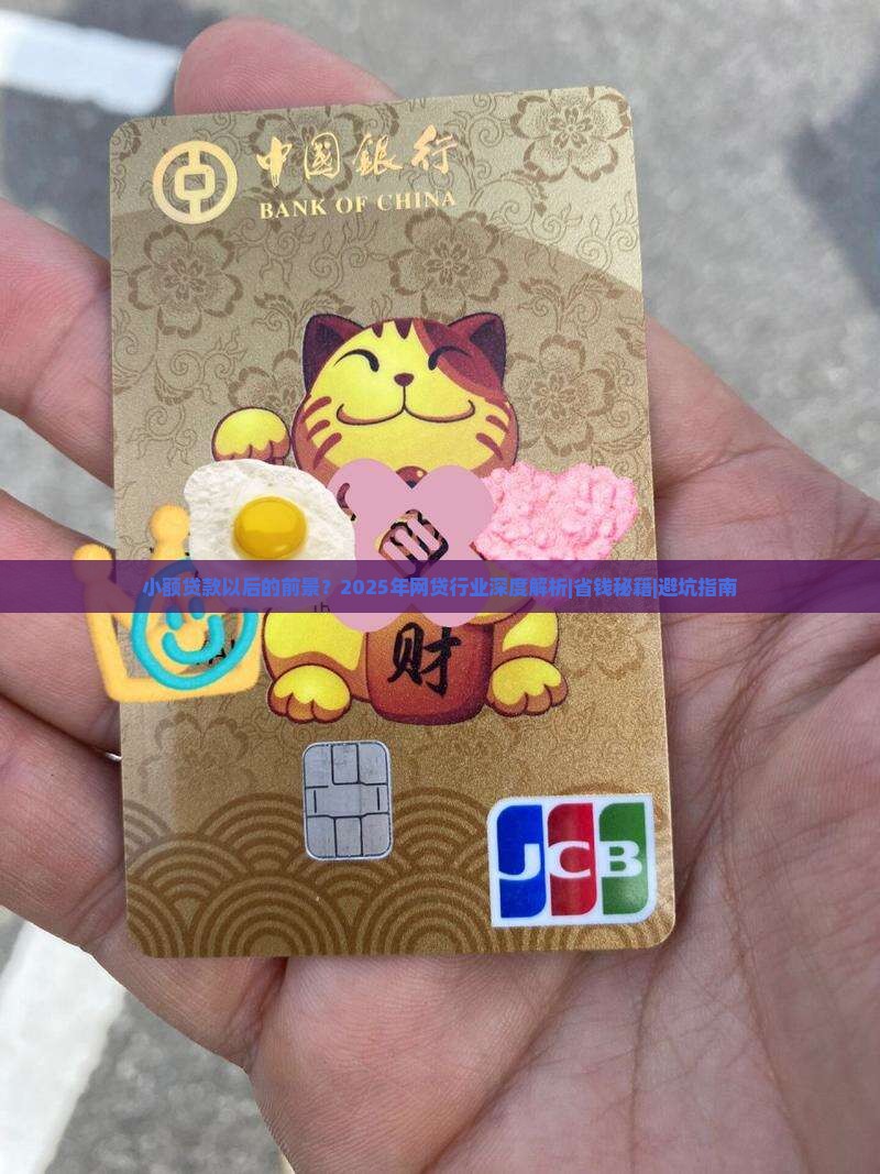 小额贷款以后的前景