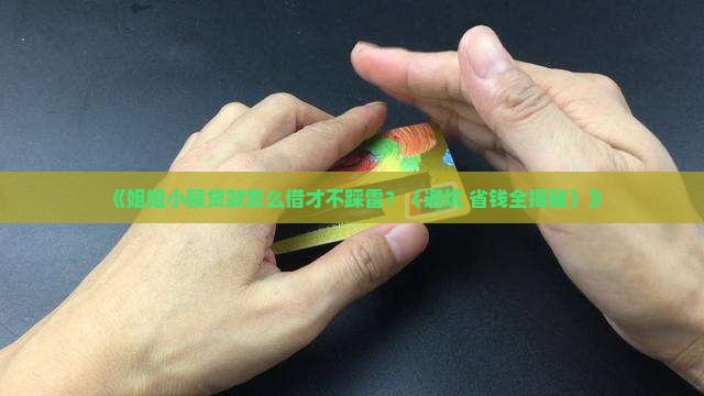 姐姐小额贷款