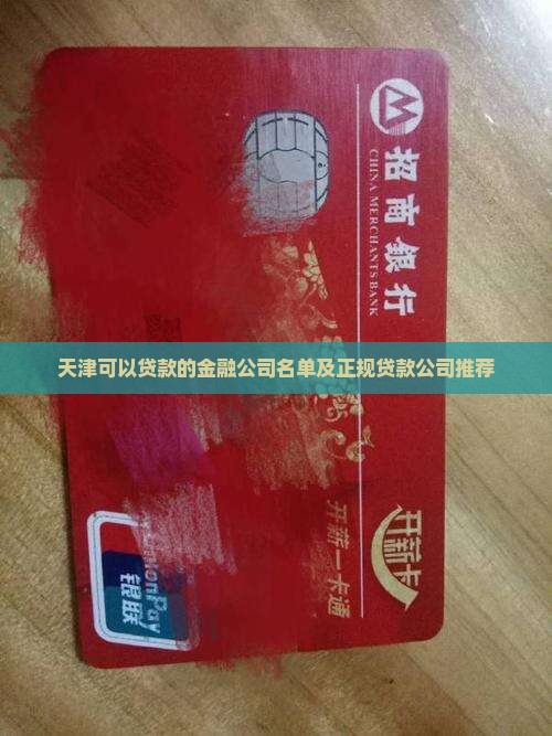 天津可以贷款的金融公司