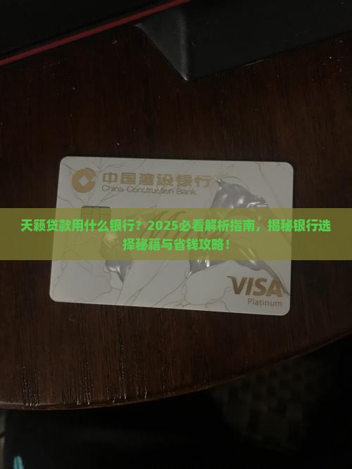 天籁贷款用什么银行