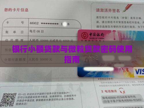 小额贷款密码怎么用