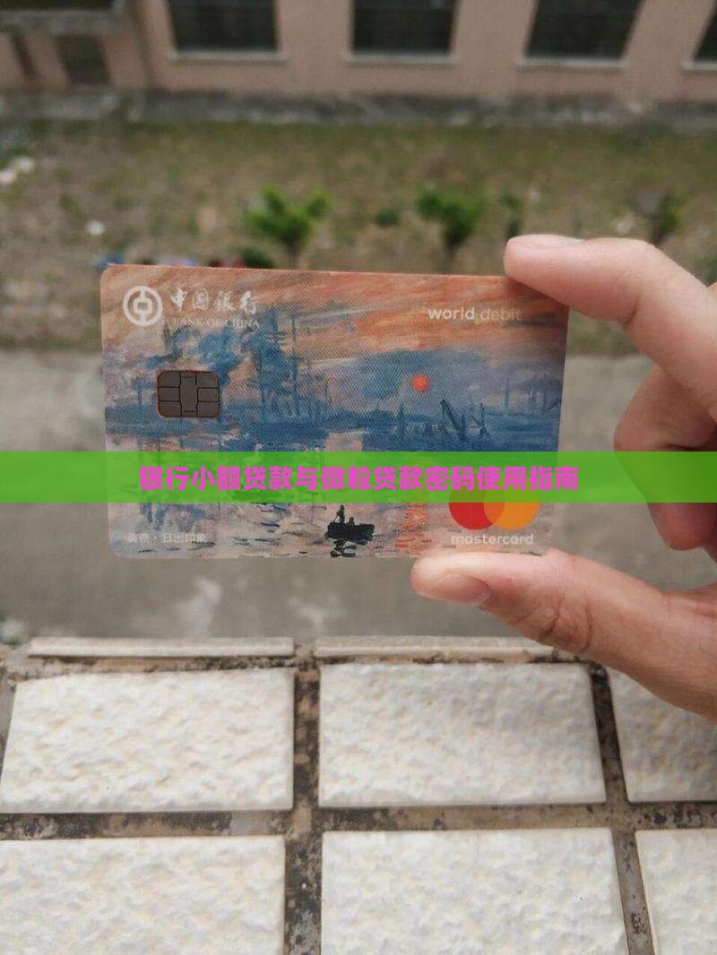 小额贷款密码怎么用