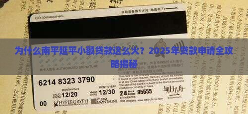 南平延平小额贷款