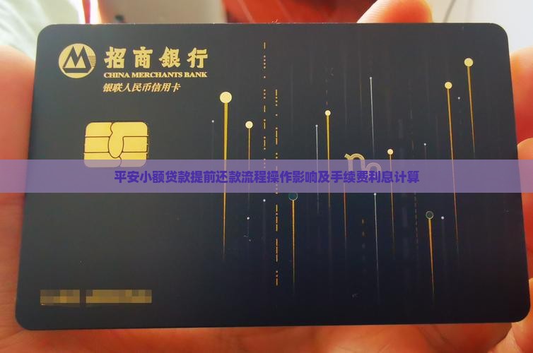 平安小额贷款提前还款