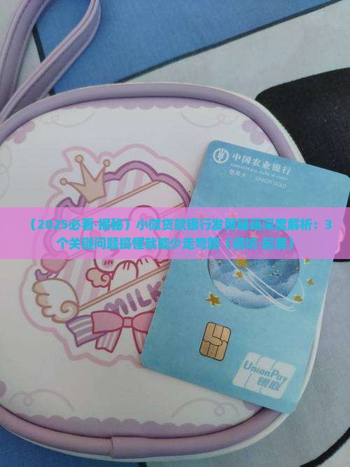 小微贷款银行怎样发展