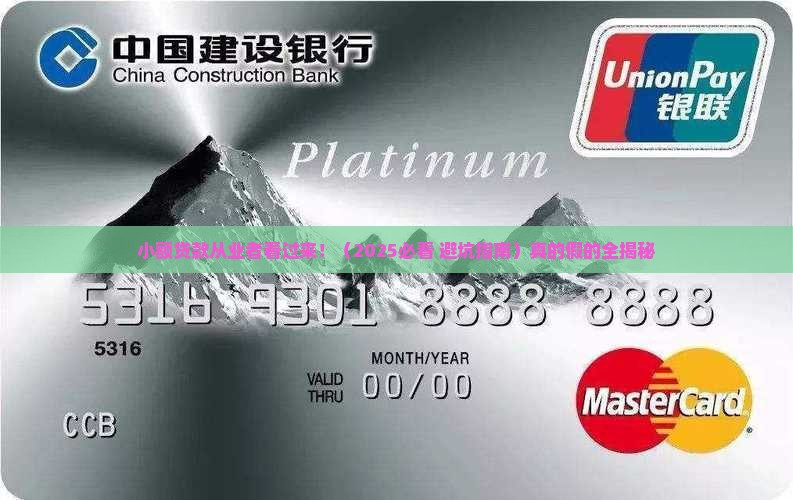 小额贷款人员工作简历