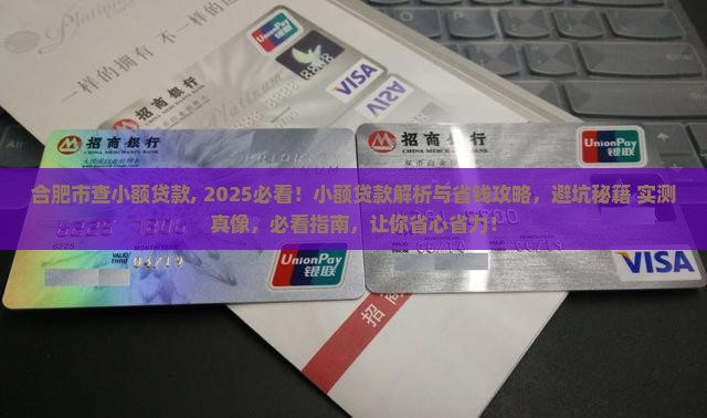 合肥市查小额贷款