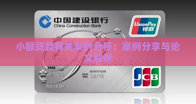 小额贷款有关案例分析 小额贷款有关案例分析