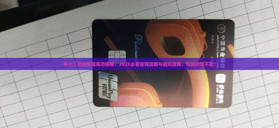 布小丁贷贷款核准成功