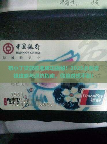 布小丁贷贷款核准成功