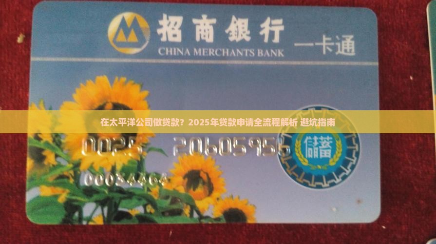 在太平洋公司做贷款