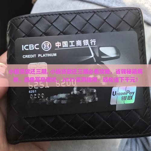小额贷款还三期