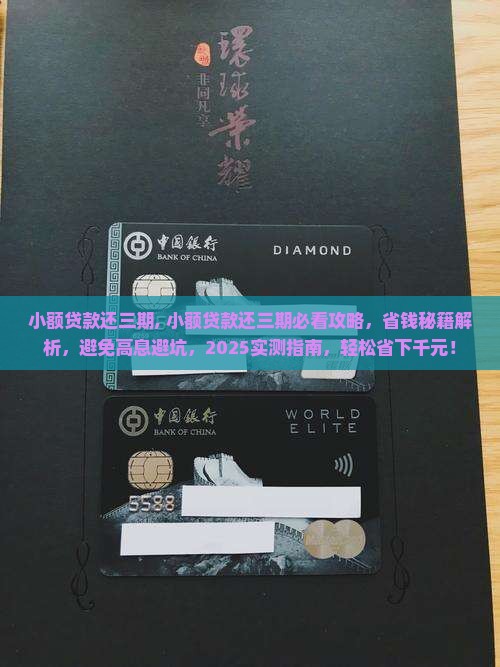 小额贷款还三期