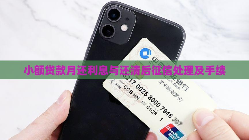 小额贷款月还