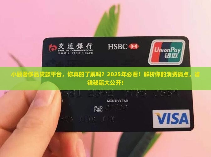 小额奢侈品贷款平台